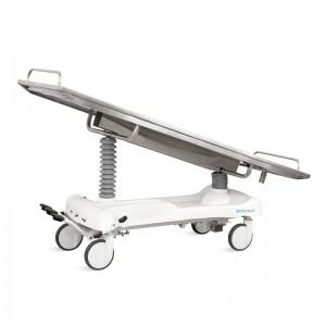 SK-DT005 Autopsy Table